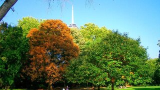 casafari-bild