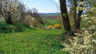 casafari-bild