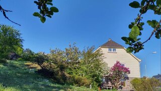 Alttag