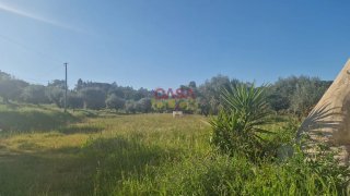 Land for sale in Tomar, Portugal — €70,000