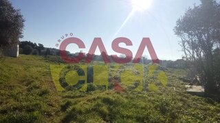 Land for sale in Torres Novas, Portugal