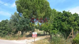 Land for sale in Torres Novas, Portugal — €35,000