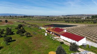 Land for sale in Chamusca, Portugal — €200,000