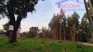 Land for sale in Figueiró dos Vinhos, Portugal — €41,000