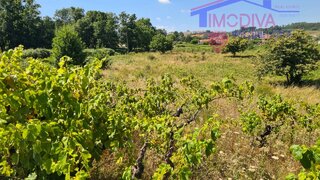 Land for sale in Figueiró dos Vinhos, Portugal — €57,000