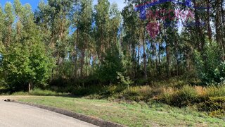 Land for sale in Pedrógão Grande, Portugal — €12,500