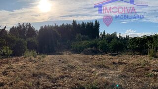 Terreno em Pedrógão Grande
