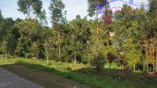 Land for sale in Pedrógão Grande, Portugal — €12,500