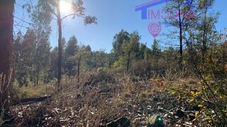 Terreno em Pedrógão Grande