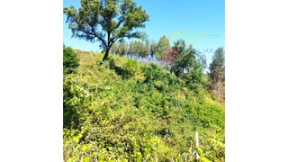 Land for sale in Pedrógão Grande, Portugal — €7,450