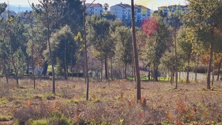 Land for sale in Figueiró dos Vinhos, Portugal — €60,000