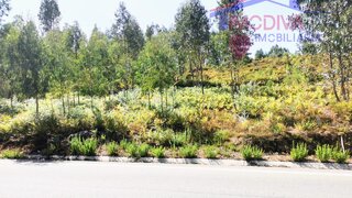 Land for sale in Pedrógão Grande, Portugal — €10,800