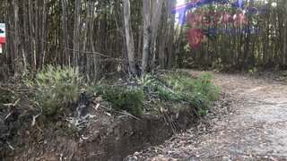 Land for sale in Figueiró dos Vinhos, Portugal — €120,000