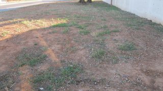Land for sale in Entroncamento, Portugal — €38,500