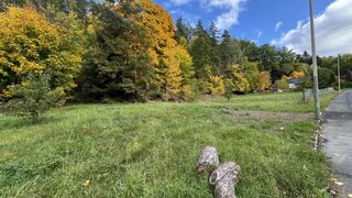casafari-bild