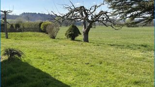 casafari-bild