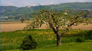 casafari-bild