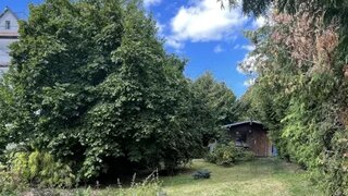 casafari-bild