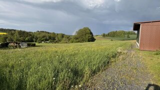 casafari-bild