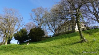 casafari-bild