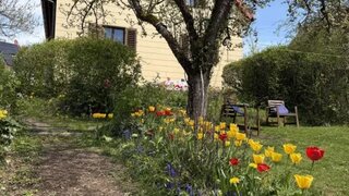 casafari-bild