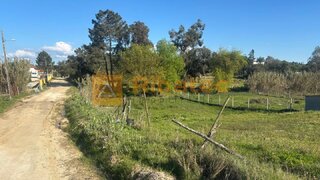 Land for sale in Salvaterra de Magos, Portugal — €49,500