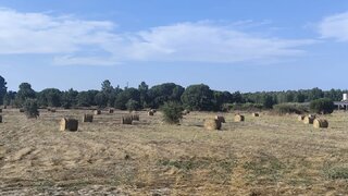 Land for sale in Coruche, Portugal — €200,000