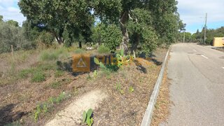 Land for sale in Coruche, Portugal — €95,000