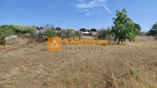 Land for sale in Coruche, Portugal — €60,000