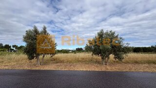 Land for sale in Coruche, Portugal — €75,000
