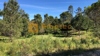 Land for sale in Coruche, Portugal — €75,000