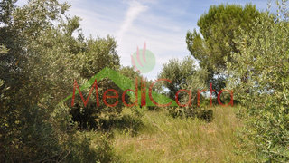 Land for sale in Cartaxo, Portugal — €23,500