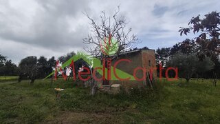 Land for sale in Cartaxo, Portugal — €35,000