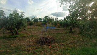 Land for sale in Idanha-a-Nova, Portugal — €46,000