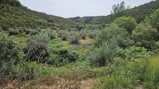 Land for sale in Proença-a-Nova, Portugal — €35,000