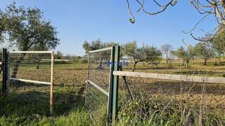 Land for sale in Idanha-a-Nova, Portugal — €17,600