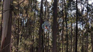 Land for sale in Santa Maria da Feira, Portugal — €65,000
