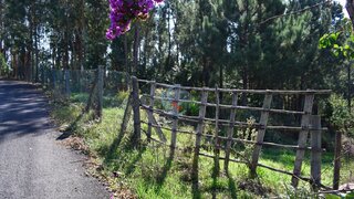 Land for sale in Santa Maria da Feira, Portugal — €165,000