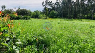 Land for sale in Ovar, Portugal
