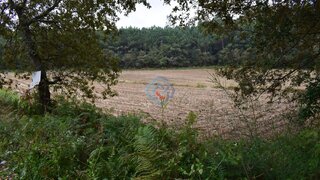 Land for sale in Santa Maria da Feira, Portugal — €800,000