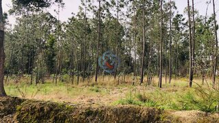 Land for sale in Santa Maria da Feira, Portugal — €300,000