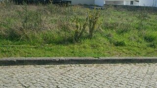 Land for sale in Santa Maria da Feira, Portugal — €75,000