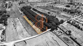 Land for sale in Cartaxo, Portugal — €20,000