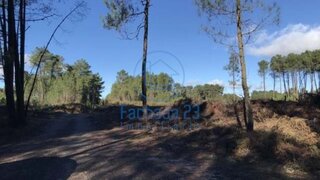 Terreno em Vila Real · 5600 m² · 20 000 €