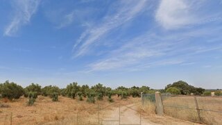 Terreno em Redondo