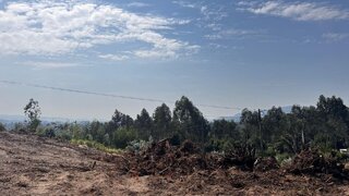 Land for sale in Barcelos, Portugal — €55,000