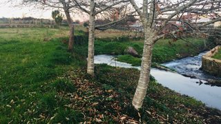 Land for sale in Barcelos, Portugal — €52,000