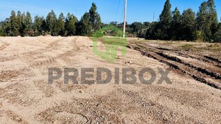 Land for sale in Vagos, Portugal — €350,000