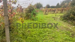 Land for sale in Penafiel, Portugal — €199,000