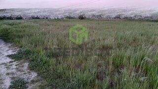Land for sale in Ílhavo, Portugal — €75,000